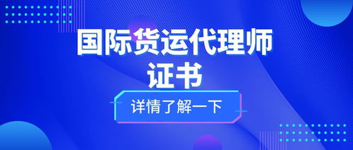 國際貨運(yùn)代理師證 考試難度、核心職責(zé)與證書價值全解析