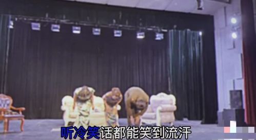 從經(jīng)紀(jì)到演員 張丹峰前經(jīng)紀(jì)人跨界話劇舞臺(tái)，旗袍造型驚艷四座